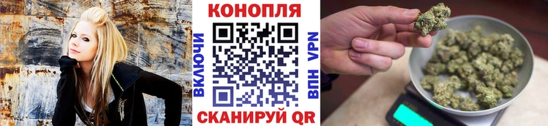 Купить где  Ростов  Конопля White Widow 